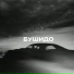 Кот Балу
