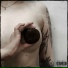 ВНЗ, FourDa