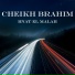 Cheikh Brahim