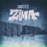 ZAMESTITEL'