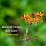 Moslem Molla