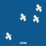 OVN