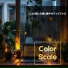 Color Scale