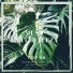 Naturaleza Ensemble