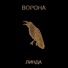 Сборник