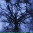 BLURRYFXCE