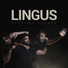 Lingus