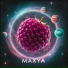 MAXYA