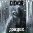 L1DER