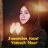 Yamsah Noor
