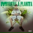MC Mateus MT, L.A NO BEAT
