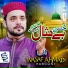 Wasaf Ahmad Hamdani