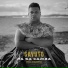 Savuto