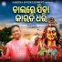 Kumar Janu