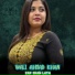 Wali Ahmad khan
