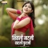 Vikas Salve