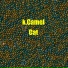 k.Camel