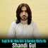 Shandi Gul