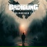 BRDIGUNG