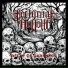 Nocturnal Hollow