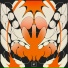 Phanta