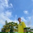 Wil012