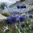 Planttronica