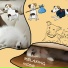 Relaxing Mode