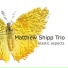 Matthew Shipp Trio