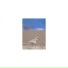 Mindfulness Healing Sleep BGM Project