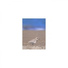 Mindfulness Healing Sleep BGM Project