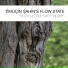Timuçin Şahin's Flow State