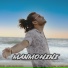 Aarya Chakradhari