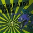 Sembrando Kaos