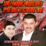 STEFAN DE LA BARBULESTI, Nicolae Guta
