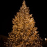 Silent Night, Chansons de Noel, Xmas Party Ideas