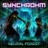 Synchrohm