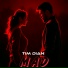 Tim Dian
