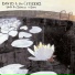 David & the Citizens