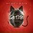 Gatinho, irsais