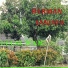 HERMAN SANJAYA