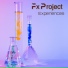 FX Project