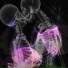 NVDNESS