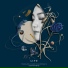 Youngjoo Lee and the Astronauts