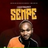 Ceezybanks