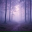 Velune, 396 Hz Sound Therapy