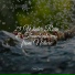 Regengeräusche, Spa Zen, 125 Nature Sounds