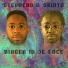Stepherd & Skinto