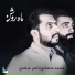 محمد سلماني, ناصر عباسي