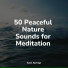 Rain, Tinnitus Aid, Massage